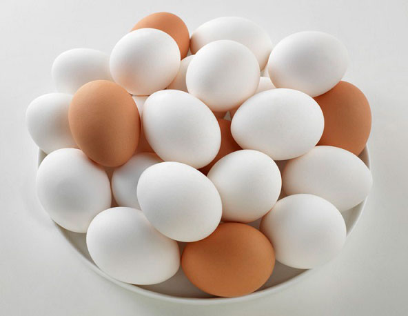 تخم مرغ و شیر؛ پروتئین‌هایی حتی برا گیاهخواران