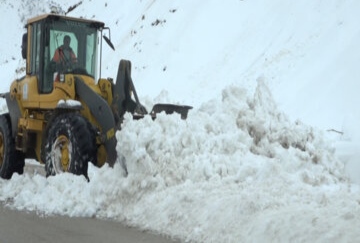 IMG_۲۰۲۲۰۱۱۵_۱۴۳۳۳۱