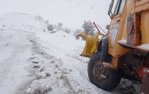 IMG_۲۰۲۲۰۱۱۵_۱۴۳۷۰۲