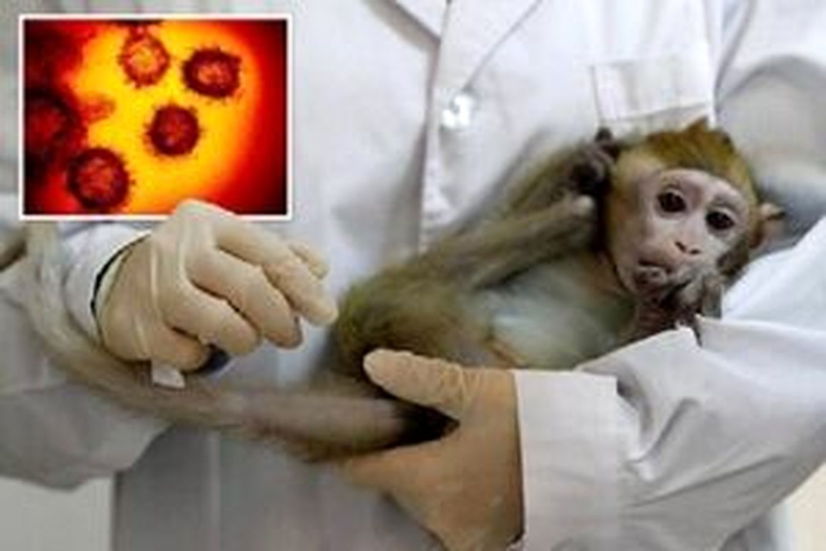 آبله میمون را با این بیماری ها اشتباه نگیرید!