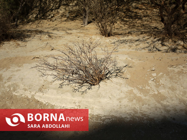 تنگه چاهکوه قشم 