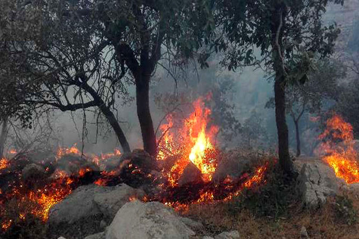 نگاهی استراتژیک به مدیریتِ آتش‌سوزیِ جنگل‌ها