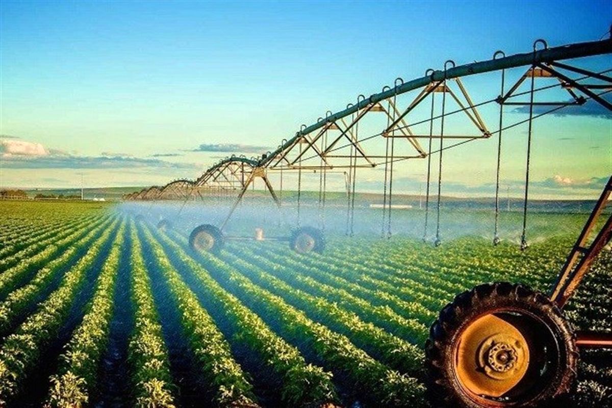 تولید محصولات کشاورزی با ۱۸ پروژه ملی رونق گرفت 
