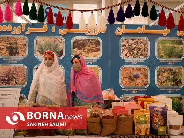 نمایشگاه گیاهان دارویی 