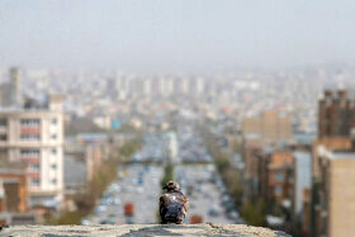 وزش باد و خیزش گرد و خاک در جنوب تهران
