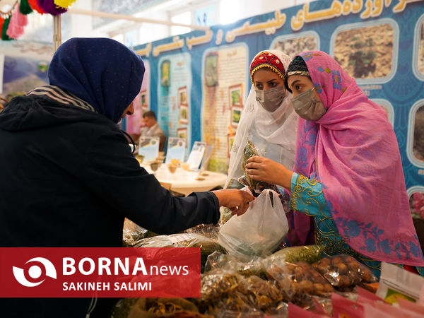 نمایشگاه گیاهان دارویی 