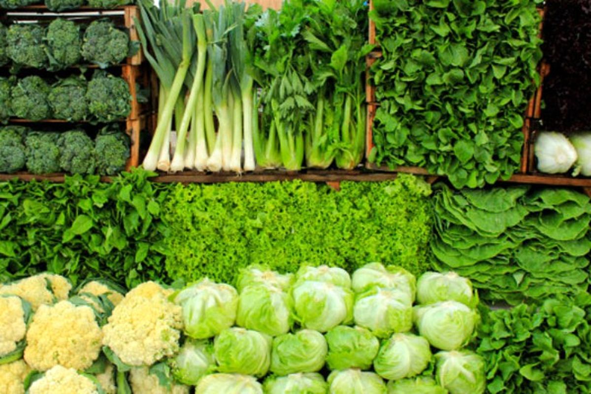 آخرین قیمت سبزیجات برگی و غیربرگی در میادین میوه و تره بار چقدر است؟