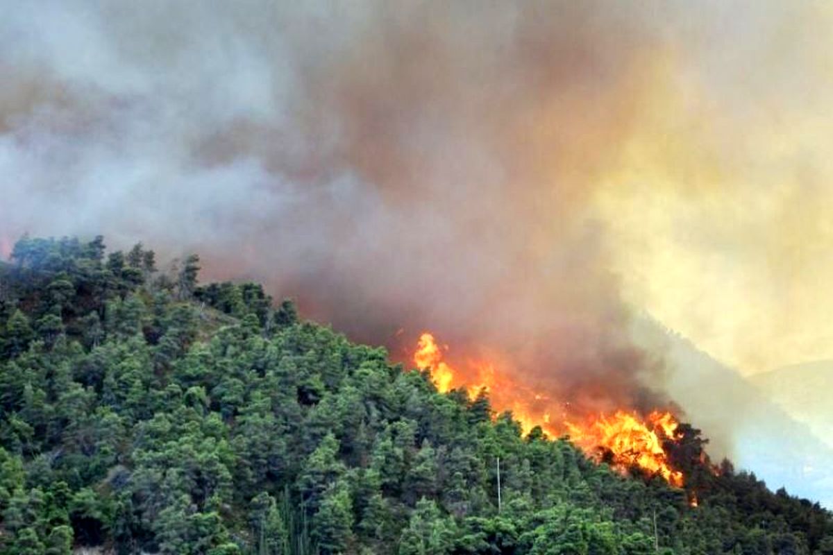 آتش‌سوزی جنگل‌های هیرکانی باعث خروج آن از فهرست جهانی یونسکو می‌شود؟/ پس از اتمام آتش‌سوزی، مسئولان آن را به فراموشی می‌سپارند