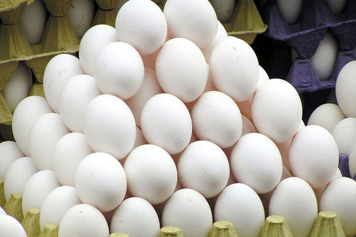 قیمت تخم مرغ از 100 هزار تومان گذشت